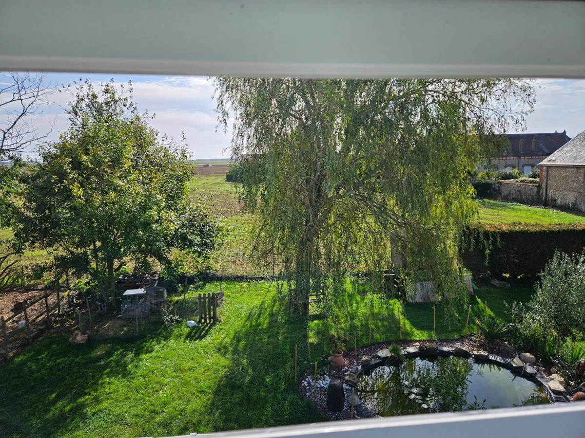 Dammarie  Au Nid Des Champs, Agreable Chambre D'Hotes, Proche De Chartres מראה חיצוני תמונה
